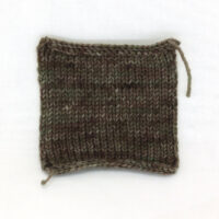 SOCK FINE 4ply - Autumn Forest swatch