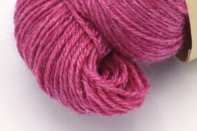 Alternative view of RAMIE SILK - Gladiolus