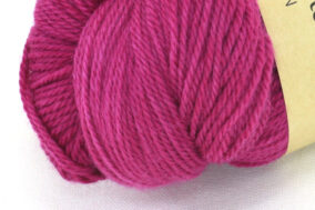 Alternative view of SOCK HAPPY - Gladiolus