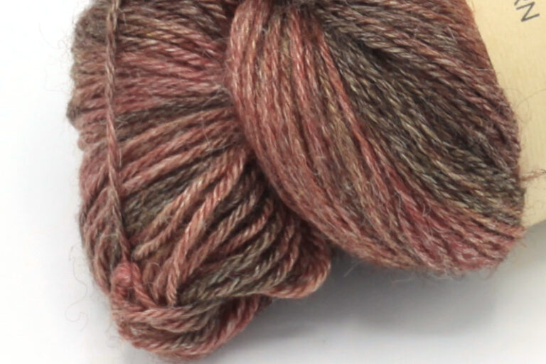 Ichigo Ichie Münztablett 8-fach - Euro & Cent Aufbewahrung 33x18,5cm Schwarz