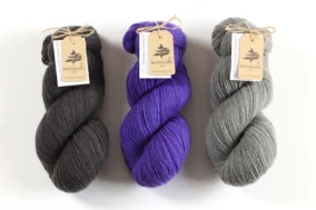 FIVE - Brilliant Blue