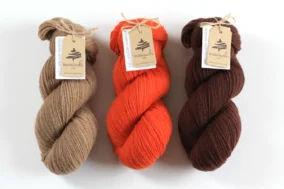 FIVE - Double Pumpkin